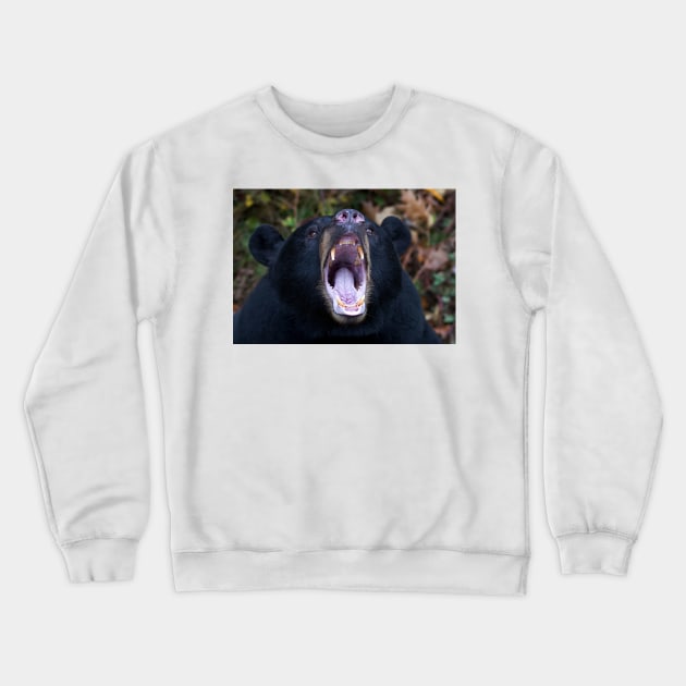 "I am not Yogi!!!" - Black Bear Crewneck Sweatshirt by Jim Cumming